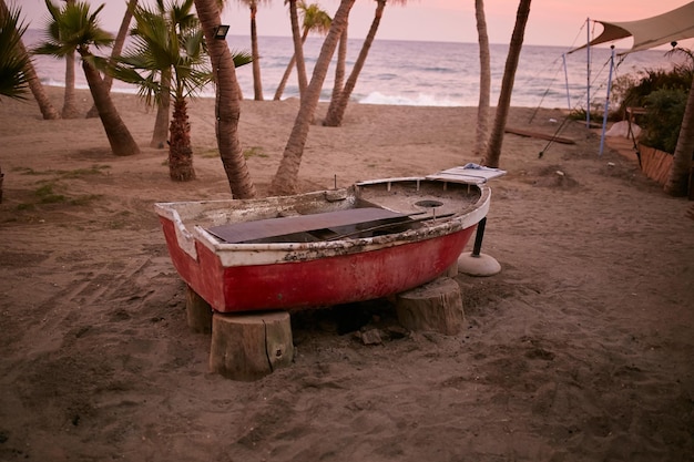 Old wooden boat by the sea among palm trees