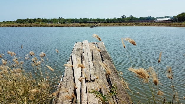 Old wooden bridge on the bank of the pond