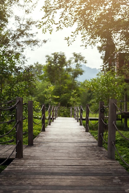 Premium Photo | Old wooden bridge in deep forest natural vintage background