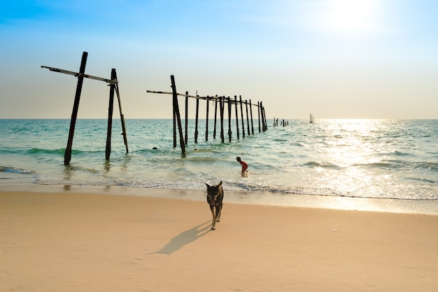 Phang Nga Province의 Pilai 해변에 있는 오래된 목조 다리