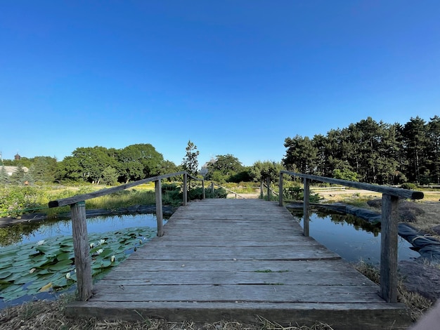 Vecchio ponte di legno su un piccolo stagno nel parco