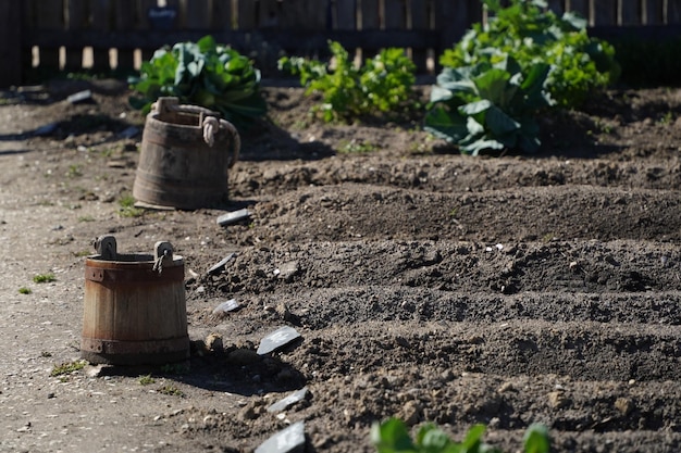 Old wooden bucket in a farming camp