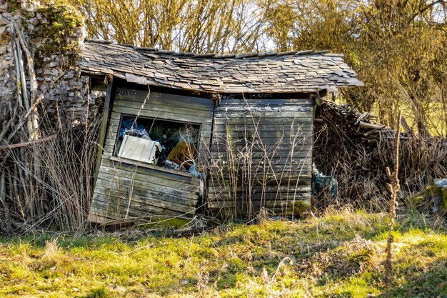 森のにある古い木製の小屋