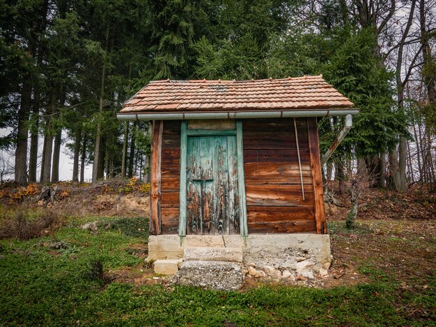 Foto vecchia capanna di legno nella foresta