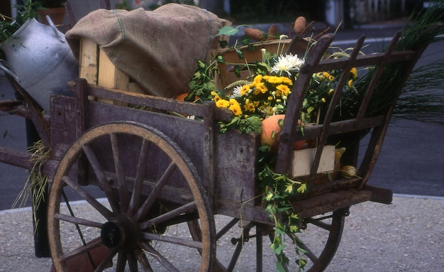 写真 自然の中の花のバスケットを持つ古い木製のカート