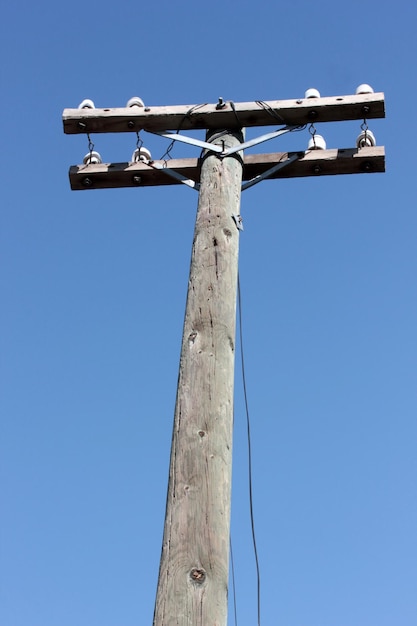 오래 된 나무 전주