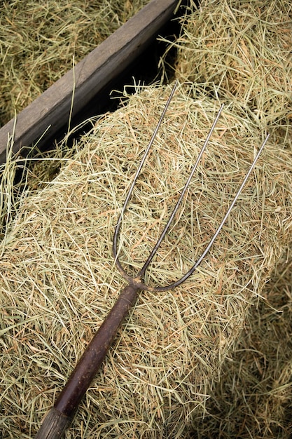 Old wooden farm pitchfork tool implement barn equipment