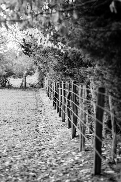 Old wooden fence and barbed wire around a meadow in Normandy