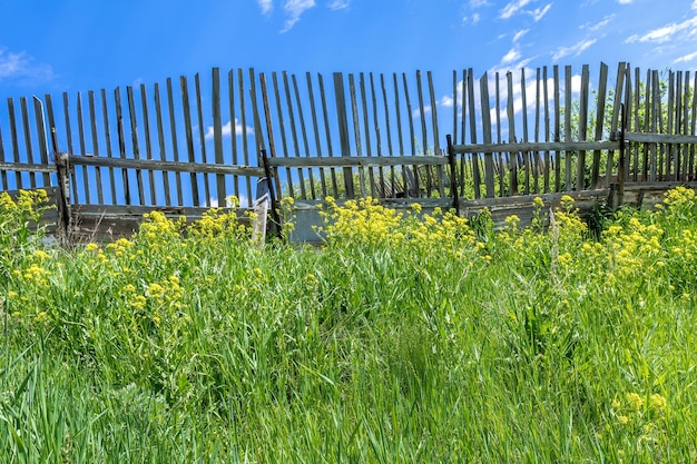 An old wooden fence in a meadow in the countryside Rustic colorful landscape