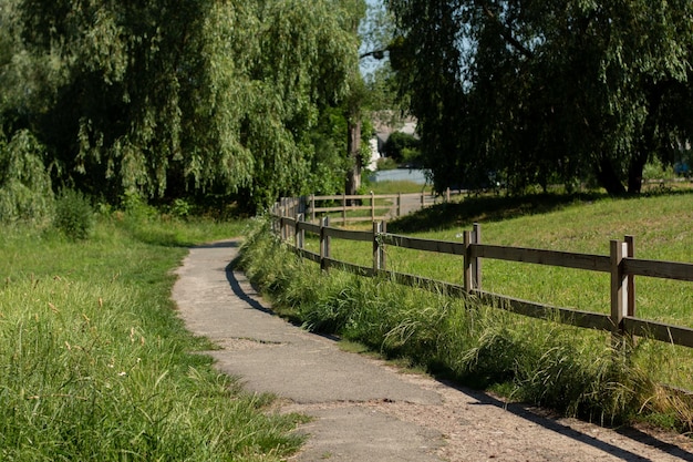 Старый деревянный забор на лугу