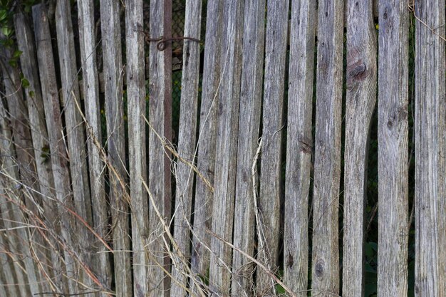 old wooden fence with rusty details and dry stems