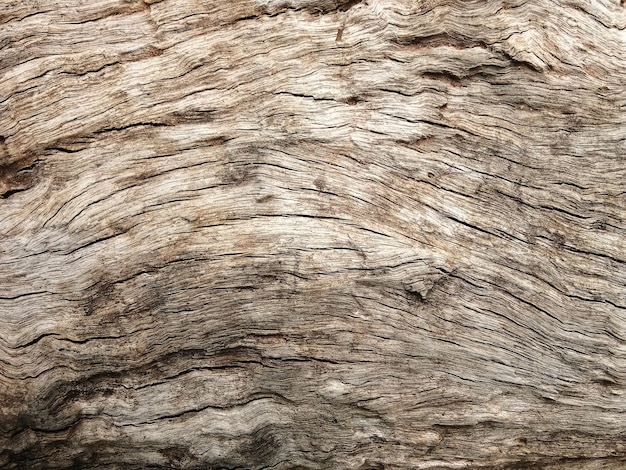 그래픽 디자인이나 월페이퍼를 위한 오래된 나무 바닥
