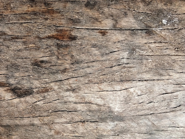 Old wooden floor for graphic design or wallpapers