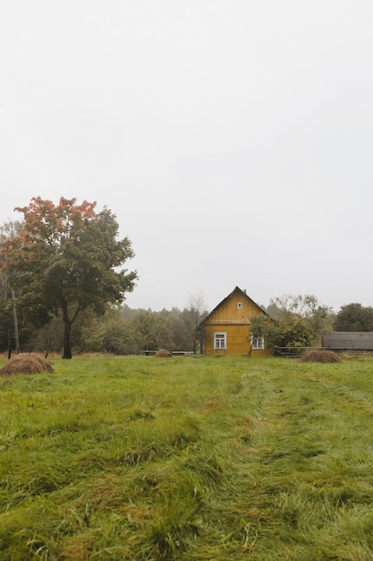 Vecchia casa in legno in campagna in europa orientale