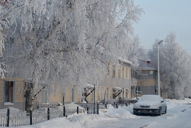 An old wooden house on a gloomy winter morning. Western Siberia. Russia