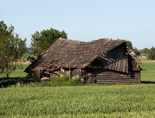 ベラルーシで撮影された古い木造住宅