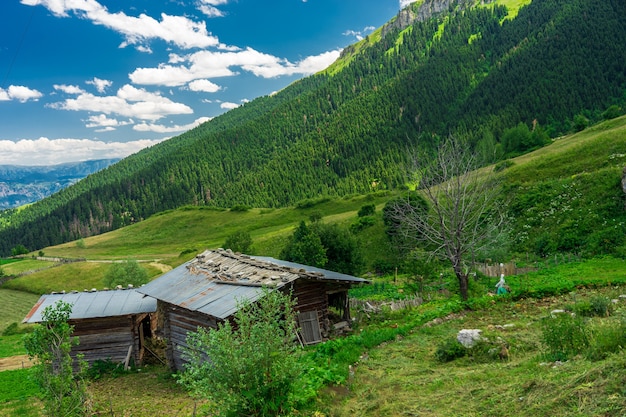 Savsat, Artvin 지방, 터키의 오래된 목조 주택