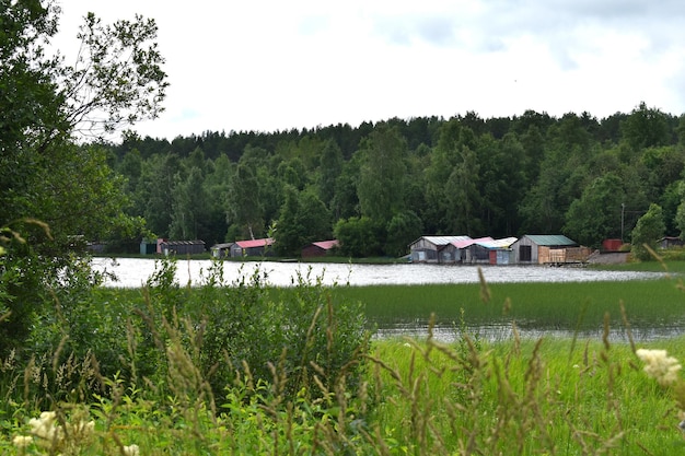 森の田園風景の村の古い木造住宅