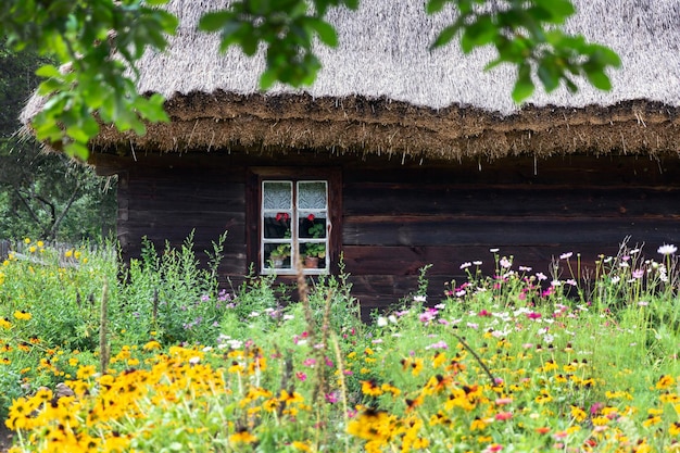 Vecchia casa in legno con giardino fiorito nella campagna di fronte in estate