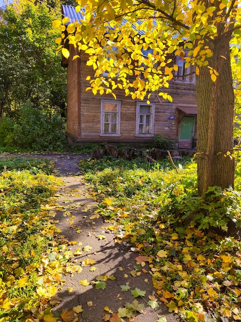 Old wooden houses in the autumn city