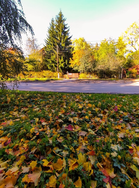 Old wooden houses in the autumn city