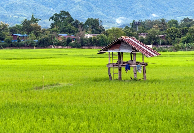 Old wooden hut