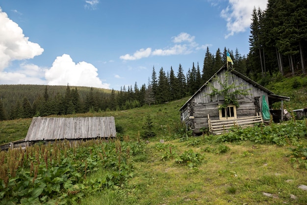 Old wooden huts on the Carpathian meadows where sheep and cows graze