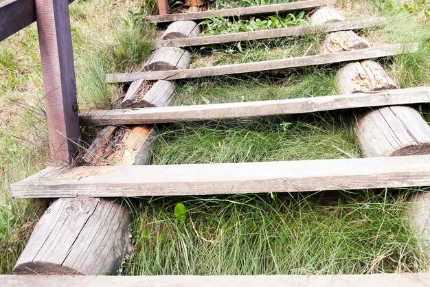 Old wooden ladder