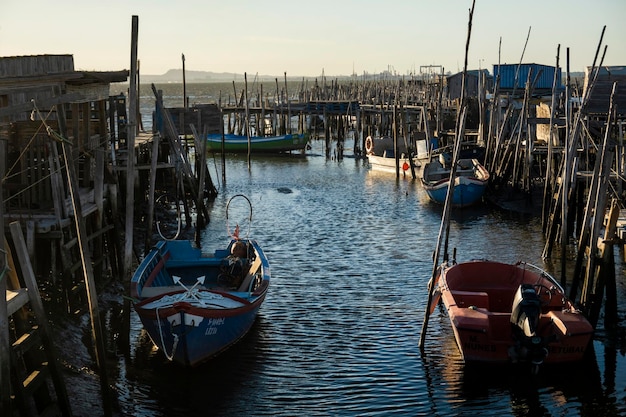 Old wooden palaphitic docks