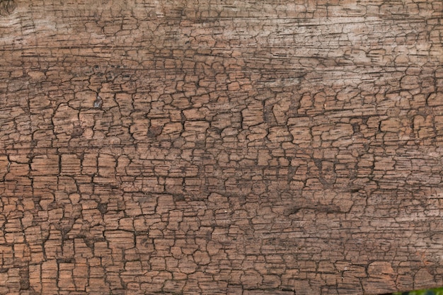 Old Wooden panel texture for background