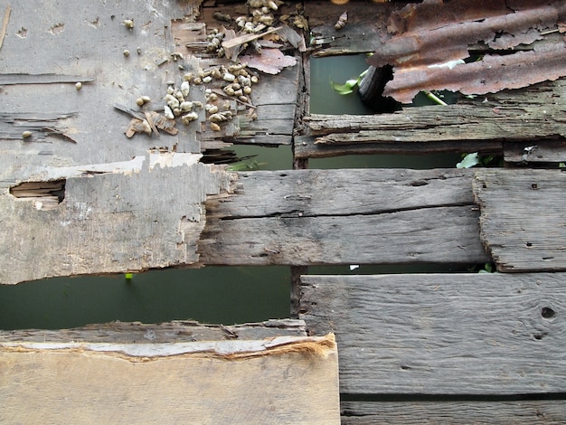 Old wooden pathway  