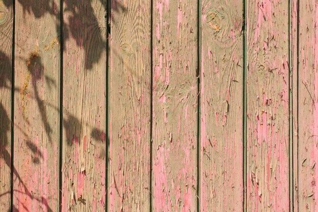 Old wooden plank background. Peeling, faded pink paint on old boards with the shadow of tree branches