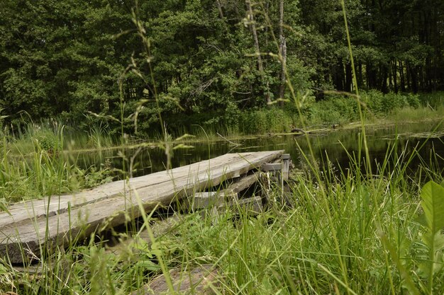Старая деревянная платформа на лесной реке