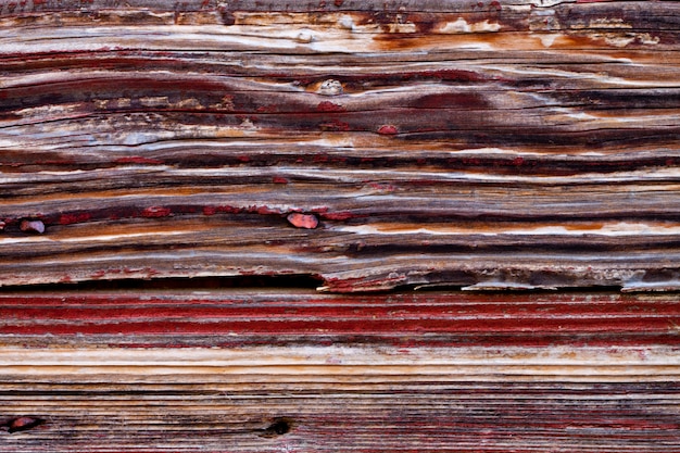 Old wooden red door grunge texture