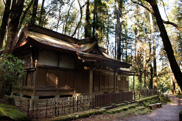 2019年3月31日、東京で千葉県を訪れ、祈る日本人と外国人旅行者のための成田山新勝寺の森にある古い木造の神社