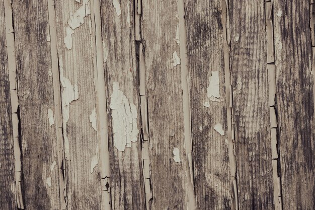 Old wooden surface close up