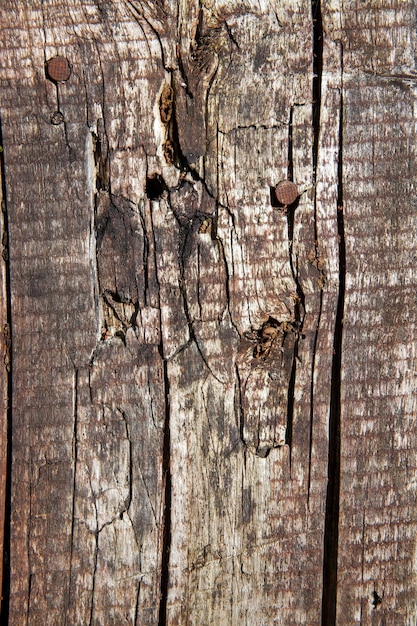 많은 손상을 입은 오래된 나무 표면