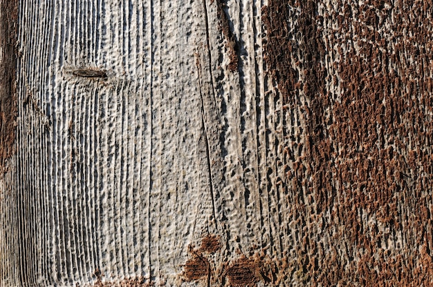 An old wooden texture with traces of destruction.