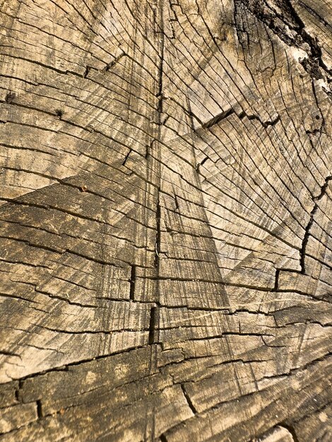 Old wooden texture