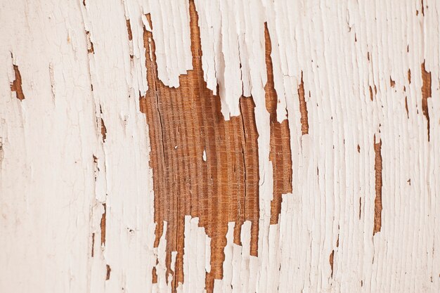 Blue Wood Stain Images - Free Download on Freepik