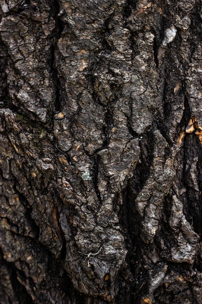 old wooden wall texture background close-up