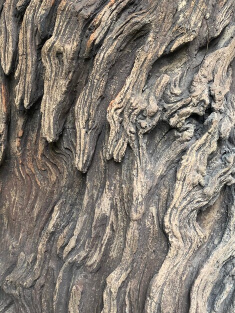 Old wooden wall texture