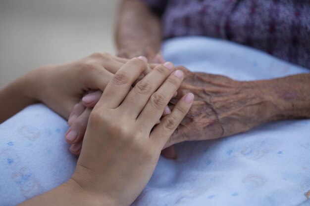 Old and young holding hands on light background closeup