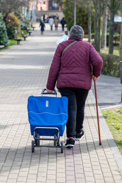 Older woman pushing wheeled basket on way to market