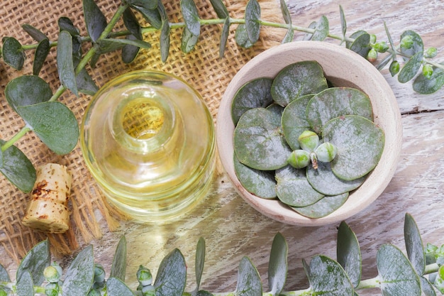 Olie en eucalyptusbladeren op de houten tafel