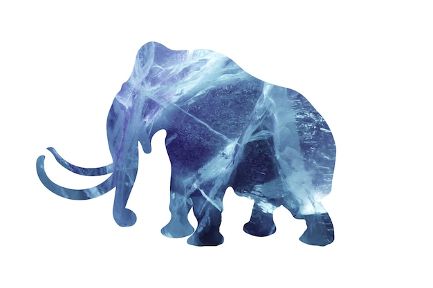 Olifant silhouet met blauwe ijs textuur geïsoleerd op een witte achtergrond