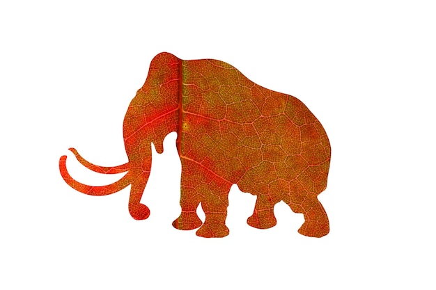 Foto olifant silhouet met plant textuur geïsoleerd op een witte achtergrond
