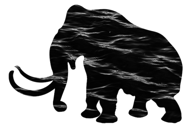 Olifant silhouet met water textuur geïsoleerd op een witte achtergrond