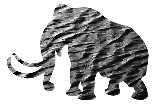 Olifant silhouet met water textuur geïsoleerd op een witte achtergrond