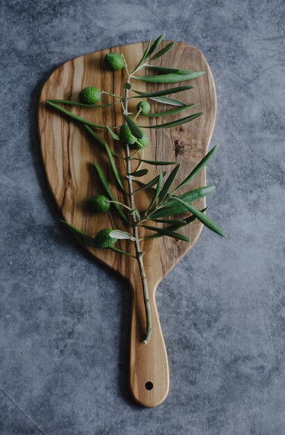 Olijftak op een houten bord